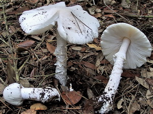 La photo de la semaine