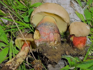 La photo de la semaine