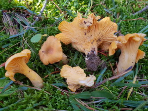 La photo de la semaine