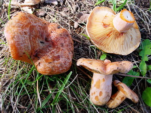 La photo de la semaine