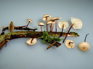 La photo de la semaine