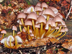 La photo de la semaine