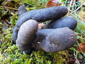 La photo de la semaine